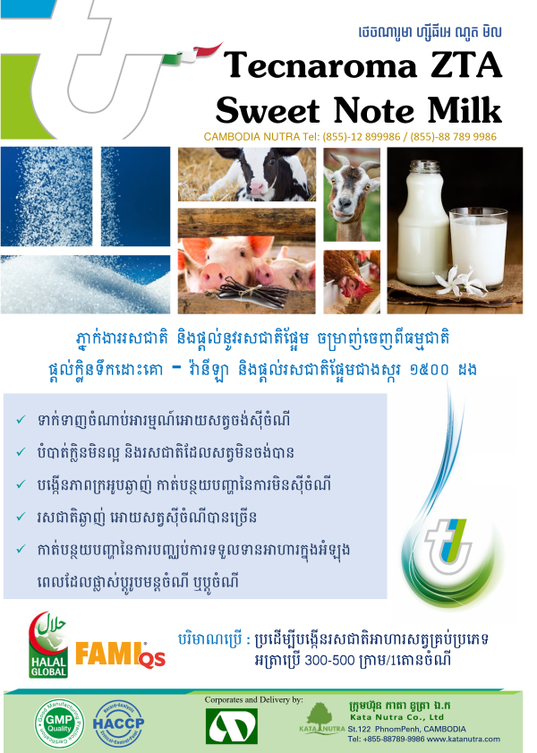 Sweet Note - Image 3