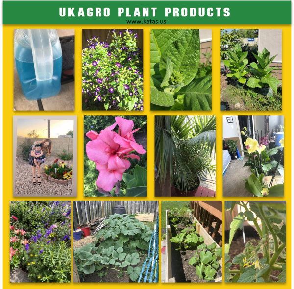 Agriculture